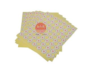 醫用純水機和凈水機的工作原理、凈水特點有什么不同-滑縣紅太陽醫療器械